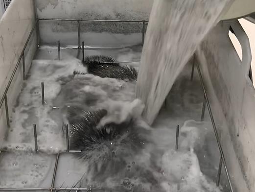 清水淹沒紫銅板材銅排 清水淹沒紫銅板材銅排